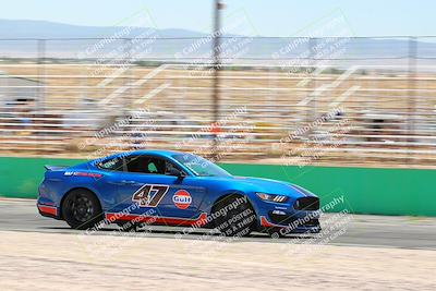 media/May-07-2022-Cobra Owners Club of America (Sat) [[e681d2ddb7]]/Blue/Session 2 (Turn 1 and Front Straight)/